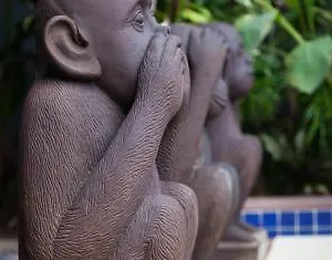 3 Monkeys - Gay Hotell