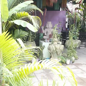 棕榈花园小屋