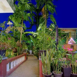 Bou Phanith Siem Reap