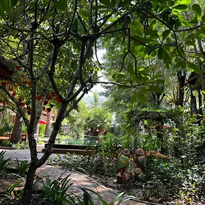 Dontrei Angkor Hotel
