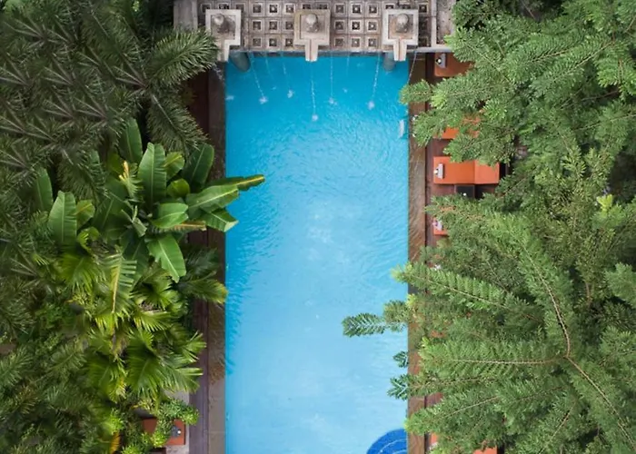 foto di The Elephant Siem Reap