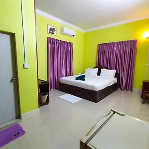 Angkor Sandra Siem Reap