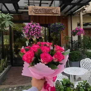Rocky Cafe & Mini Hotel