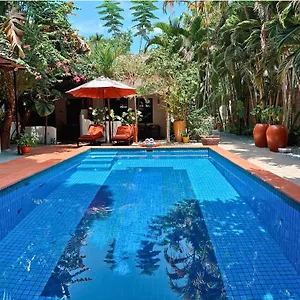 Maison 557 Siem Reap